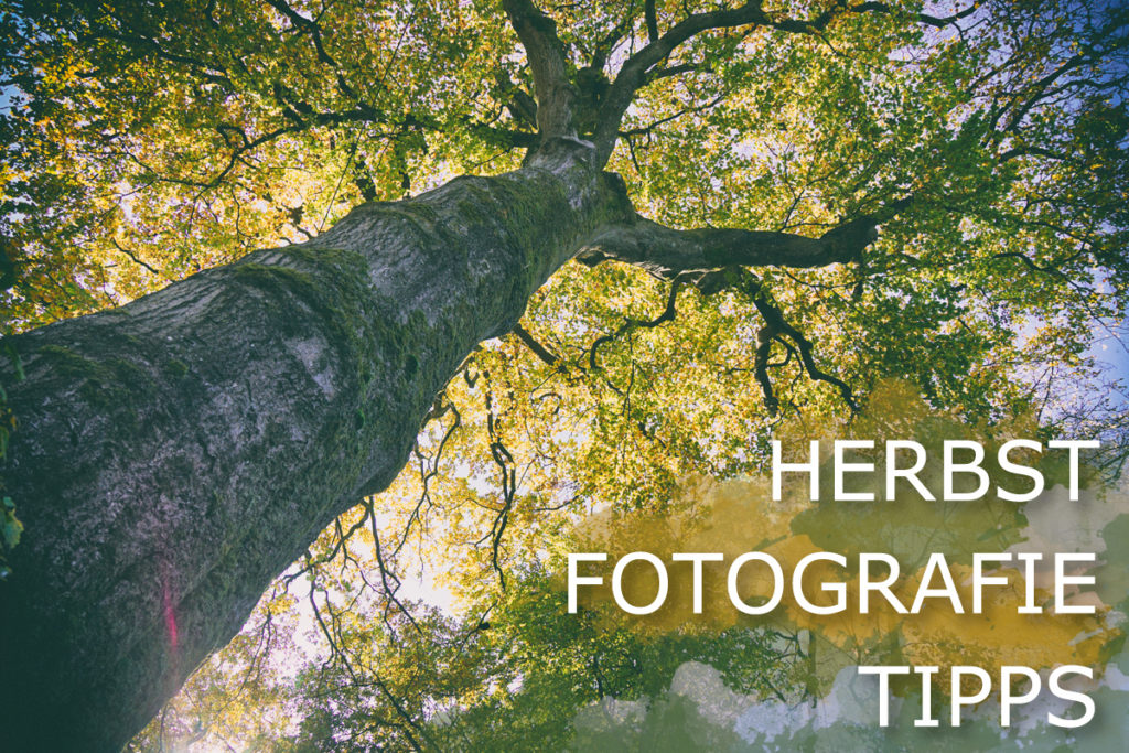 herbst fotografie tipps